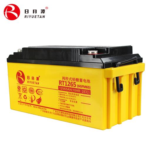 谈球吧12V65AH RT系列EPS专用的标准AGM铅酸蓄电池